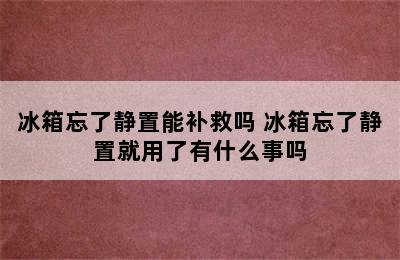 冰箱忘了静置能补救吗 冰箱忘了静置就用了有什么事吗